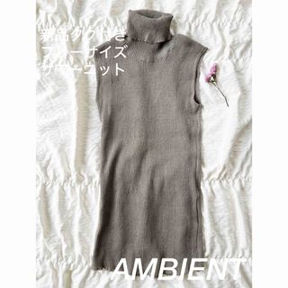 アンビエント(AMBIENT)の【新品タグ付き】AMBIENTタートルネックニットトップス リブニット春夏服(ニット/セーター)