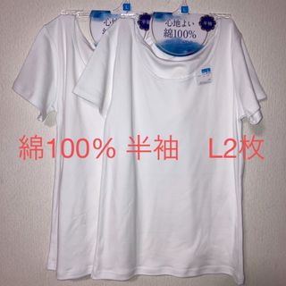 新品　綿100% レディース　半袖　白シャツ　L2枚　肌着　インナー　コットン(Tシャツ(半袖/袖なし))