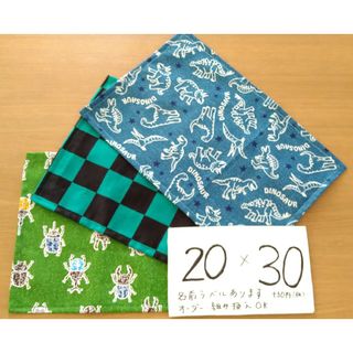 恐竜　市松模様　昆虫　20×30　ランチョンマット　3枚　裏地なし(外出用品)