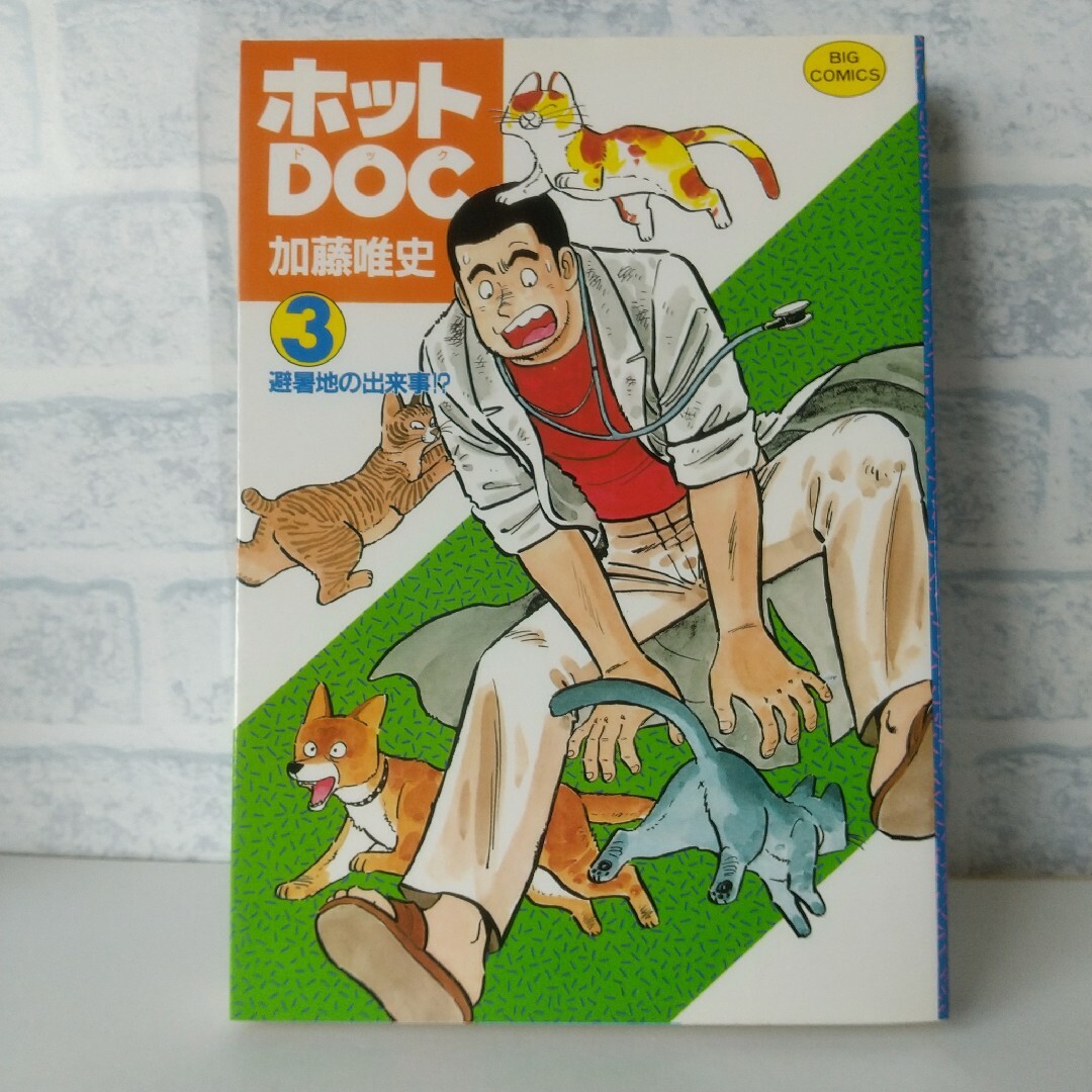 小学館(ショウガクカン)の3巻 ホットDOC 加藤唯史/きむらはじめ エンタメ/ホビーの漫画(青年漫画)の商品写真