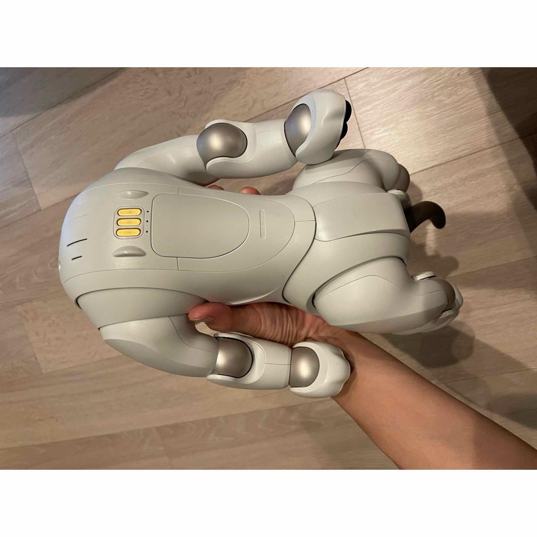 SONY(ソニー)のぴよ様専用aibo エンタメ/ホビーのおもちゃ/ぬいぐるみ(その他)の商品写真