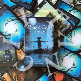 Black Cats Tarot ブラックキャッツ タロットカード 占い(趣味/スポーツ/実用)