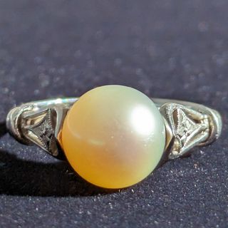 ミキモト(MIKIMOTO)の642 ミキモトパールリングK14WGホワイトーゴールド約8.5mm12号(リング(指輪))