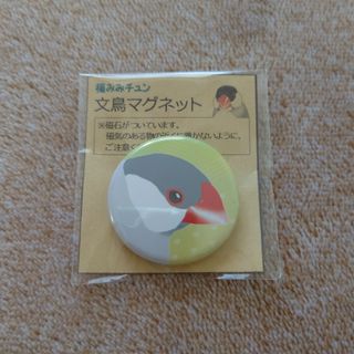 文鳥 マグネット(シルバー)(鳥)