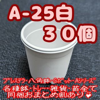 プラ鉢【A-25】30個 スリット鉢 丸 プレステラ 多肉植物(プランター)