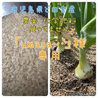 鹿児島県ど田舎産 『umaga…』様専用♪(野菜)