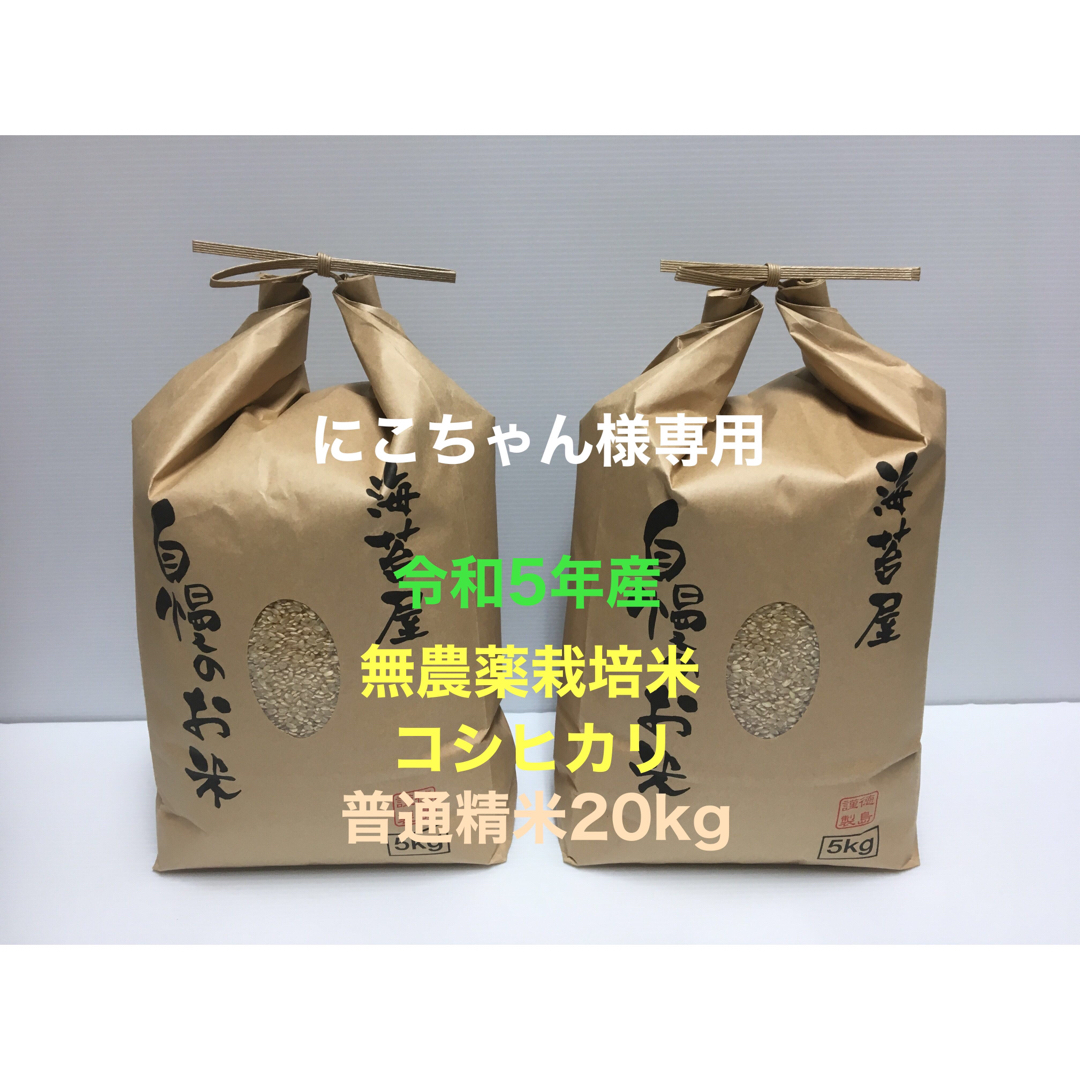 にこちゃん様専用 無農薬コシヒカリ普通精米20kg(5kg×4)令和5年産 食品/飲料/酒の食品(米/穀物)の商品写真