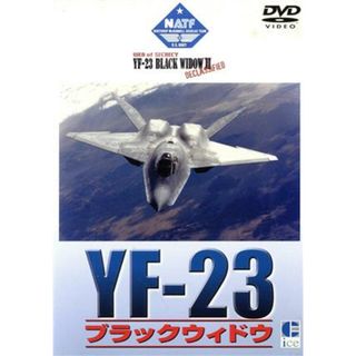 ＹＦ－２３　ブラックウィドウ(趣味/実用)