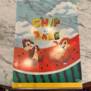 チップアンドデール(チップ&デール)の非売品　チップ&デール　CHIP&DALE クリアファイル　Disney(キャラクターグッズ)