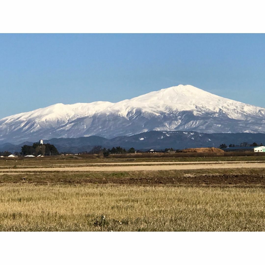 つや姫の生まれた山形県鶴岡市産！山形県産特別栽培米つや姫（白米）５ｋｇ 食品/飲料/酒の食品(米/穀物)の商品写真