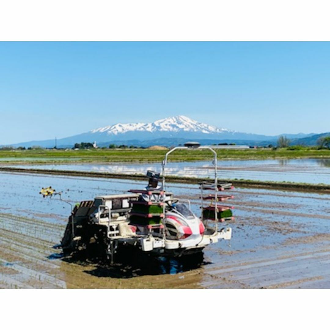 モチモチの食感と甘味がおいしい！山形県産特別栽培米ミルキークイーン（白米）５ｋｇ 食品/飲料/酒の食品(米/穀物)の商品写真