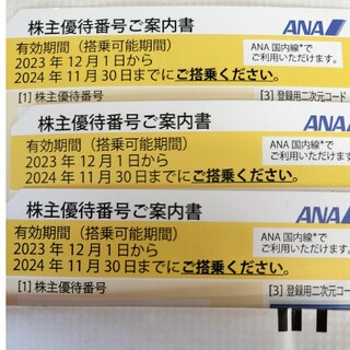 エーエヌエー(ゼンニッポンクウユ)(ANA(全日本空輸))の全日空 株主優待券(その他)