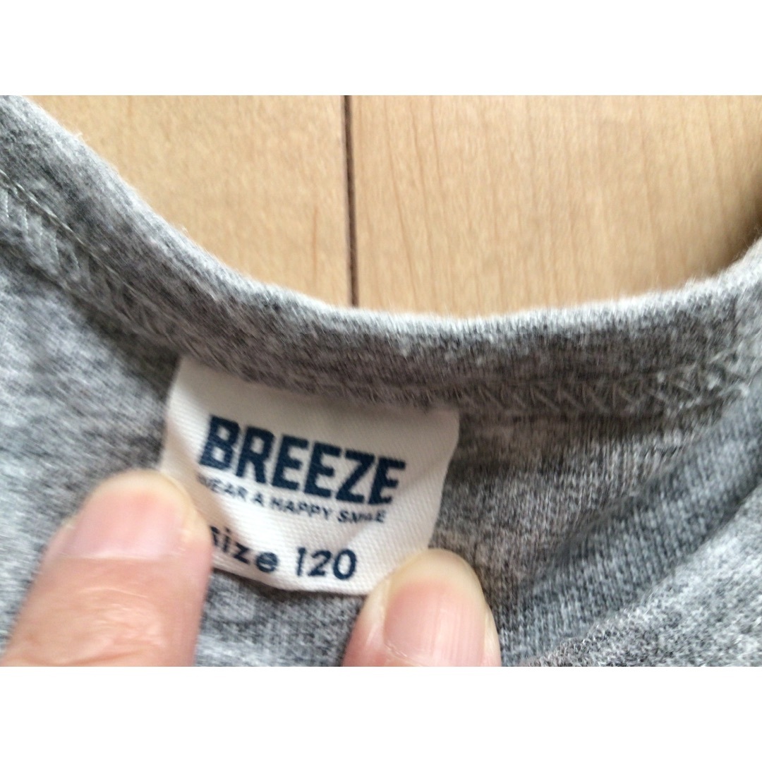 BREEZE(ブリーズ)のBREEZE ペンギン長袖Tシャツ 120 キッズ/ベビー/マタニティのキッズ服男の子用(90cm~)(Tシャツ/カットソー)の商品写真