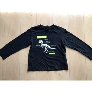 the shop tk 長袖Tシャツ 恐竜 120