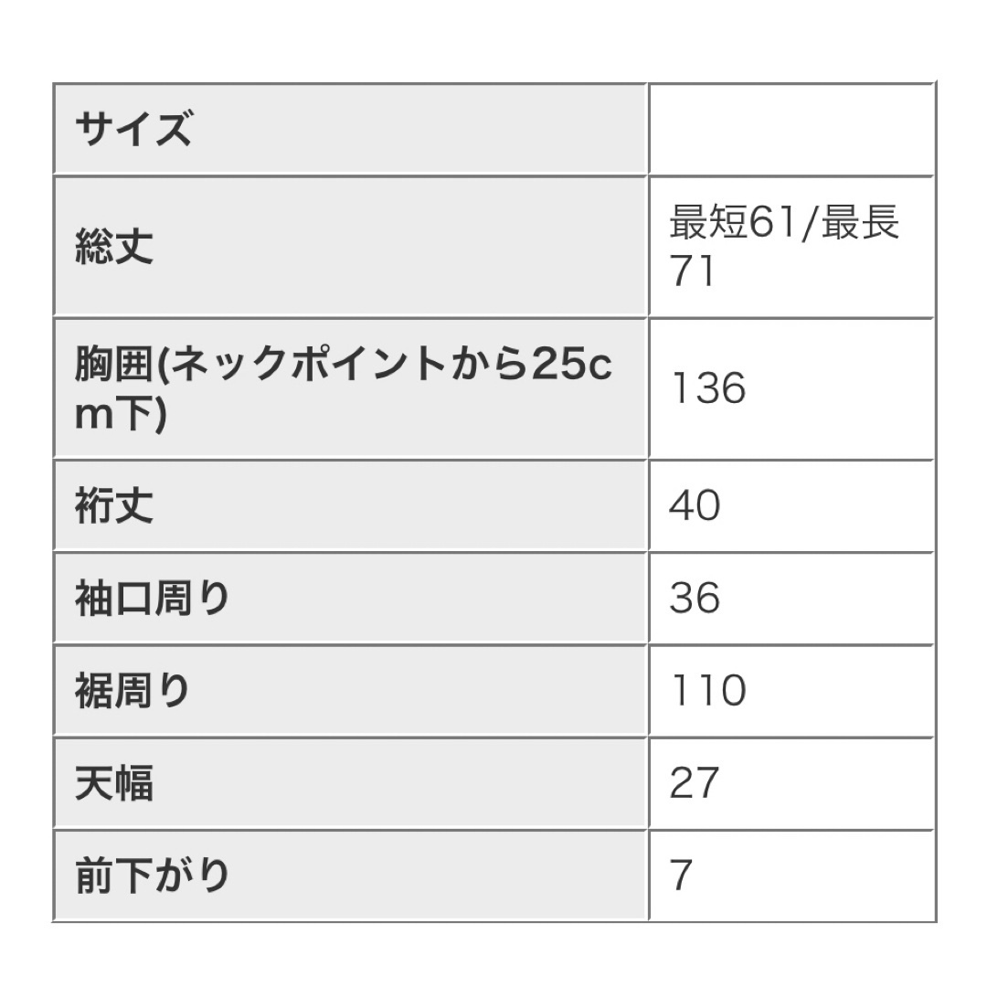 antiqua(アンティカ)のアンティカドルマントップス レディースのトップス(Tシャツ(半袖/袖なし))の商品写真