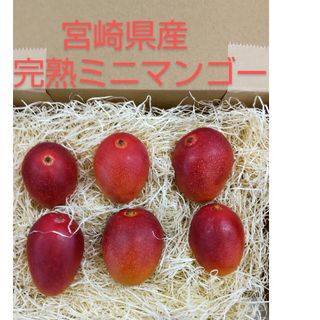 ミニマンゴー　６玉　400g~450g前後　【常温発送】　完熟マンゴー　宮崎県産(フルーツ)