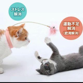 猫じゃらし 猫 おもちゃ じゃれ猫 足用(猫)