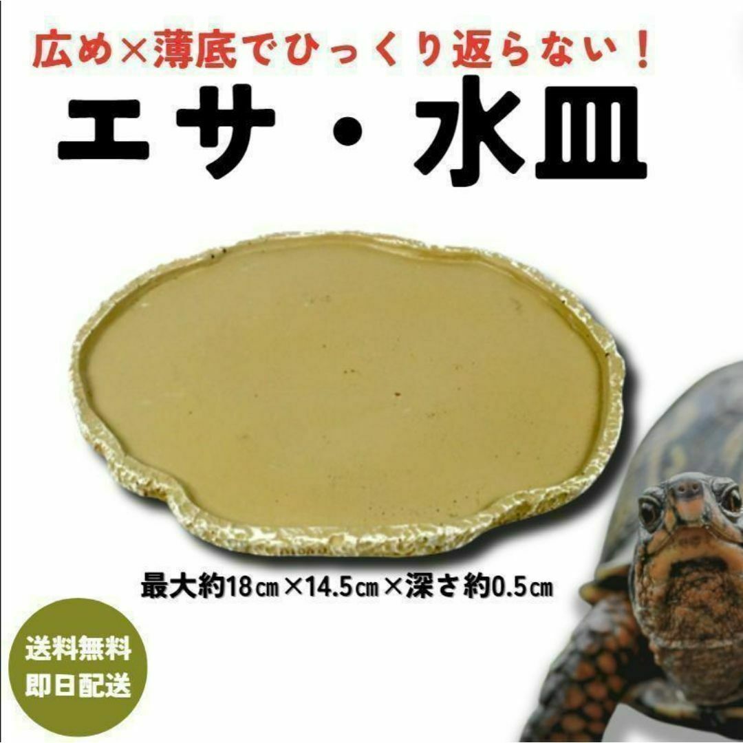 爬虫類餌やり／水やり ディッシュ 自然な岩 樹脂製 リクガメ トカゲカメレオン その他のペット用品(爬虫類/両生類用品)の商品写真