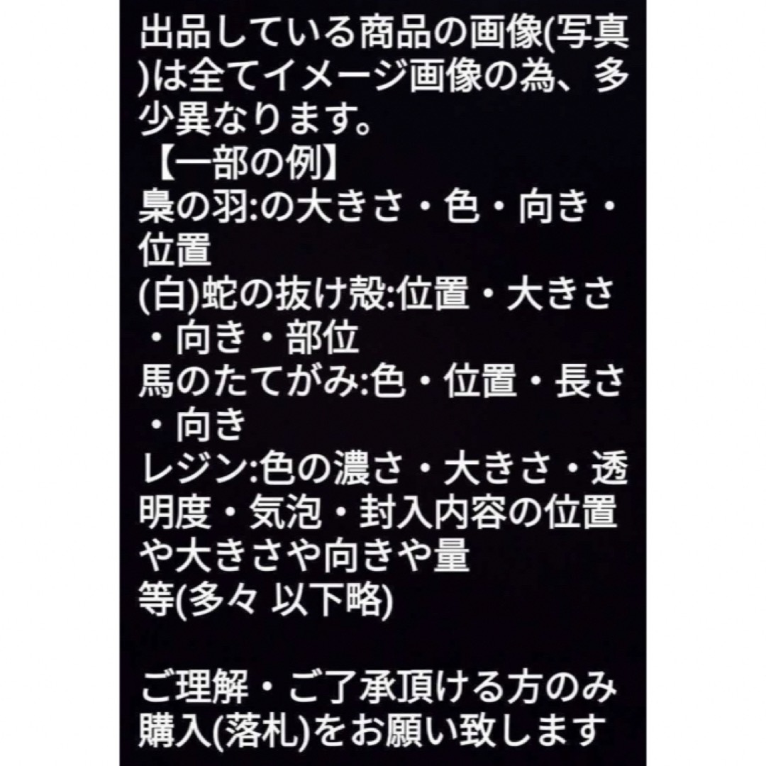 3〜27号❤️第1チャクラ✨蛇の抜け殻✨白蛇の指輪お守り【天赦日ご祈祷済】石外A メンズのアクセサリー(リング(指輪))の商品写真