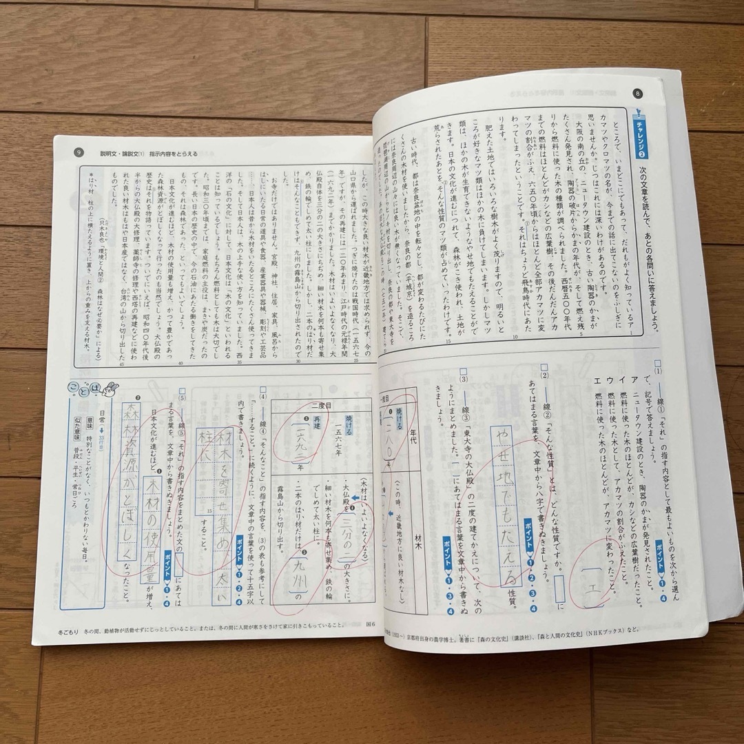 アクティブ　小学６年 国語 エンタメ/ホビーの本(語学/参考書)の商品写真