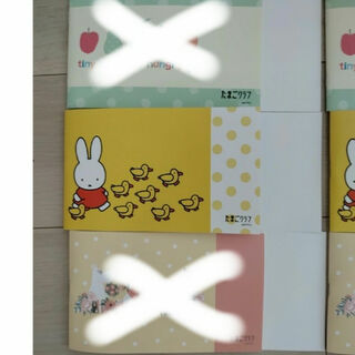 ミッフィー(miffy)の531　専用　ミッフィーエコーアルバム(アルバム)