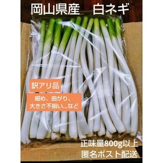 岡山県産　訳アリ　白ネギ　長ネギ　農家直送　細め(野菜)