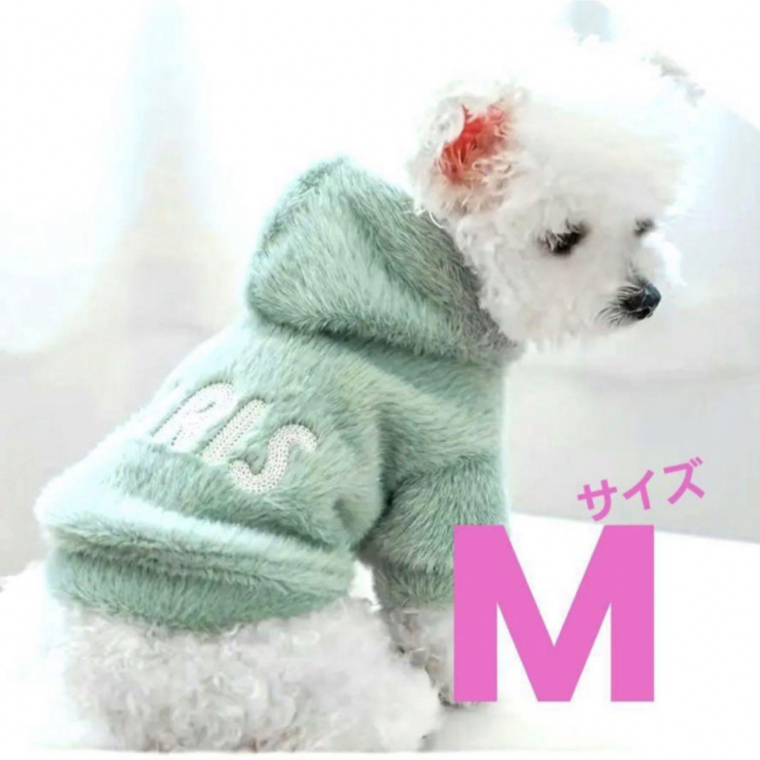 犬服　おでかけ お散歩 春色 オシャレ 可愛い 暖かい服　M 「パリ」 ハンドメイドのペット(ペット服/アクセサリー)の商品写真
