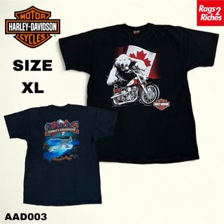 ハーレーダビッドソン(Harley Davidson)のハーレーダヴィッドソン 両面プリント TシャツHARLEY DAVIDSON(Tシャツ/カットソー(半袖/袖なし))