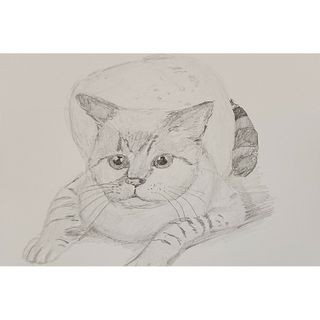 『猫』鉛筆画。デッサン(6)手描きイラスト。リアル。ポストカード。動物。(アート/写真)