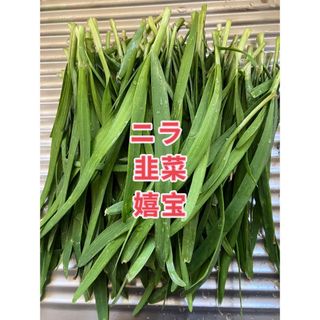 ニラ400g(野菜)