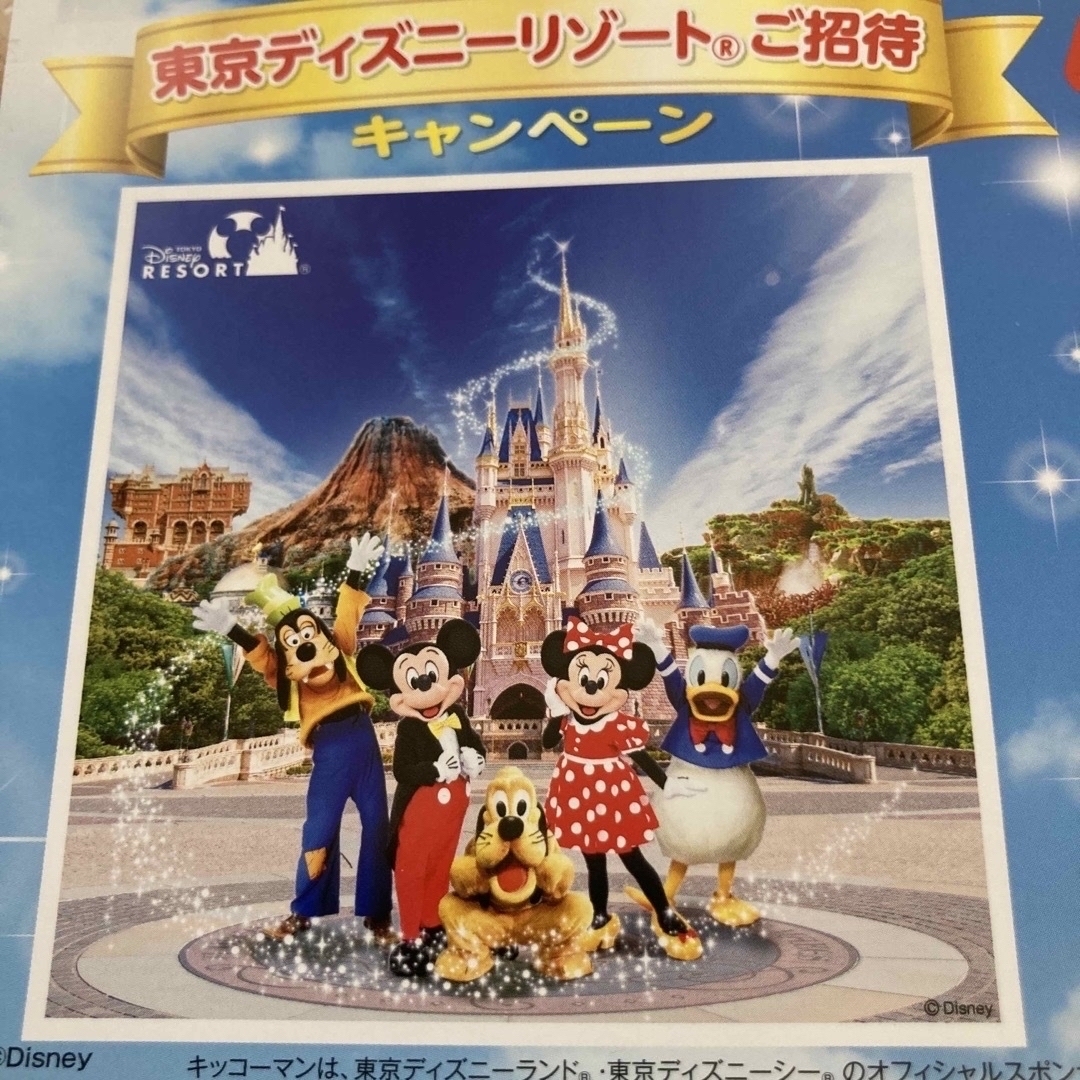 Disney(ディズニー)のはにちゃん様　おまとめ　4件 エンタメ/ホビーのエンタメ その他(その他)の商品写真