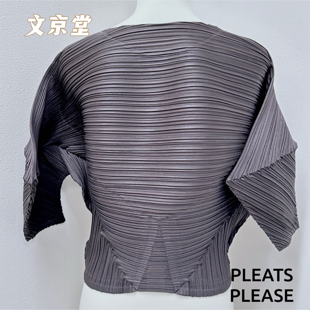 PLEATS PLEASE ISSEY MIYAKE(プリーツプリーズイッセイミヤケ)のPLEATS PLEASE ISSEY MIYAKE トップス　4月新作 レディースのトップス(カットソー(長袖/七分))の商品写真