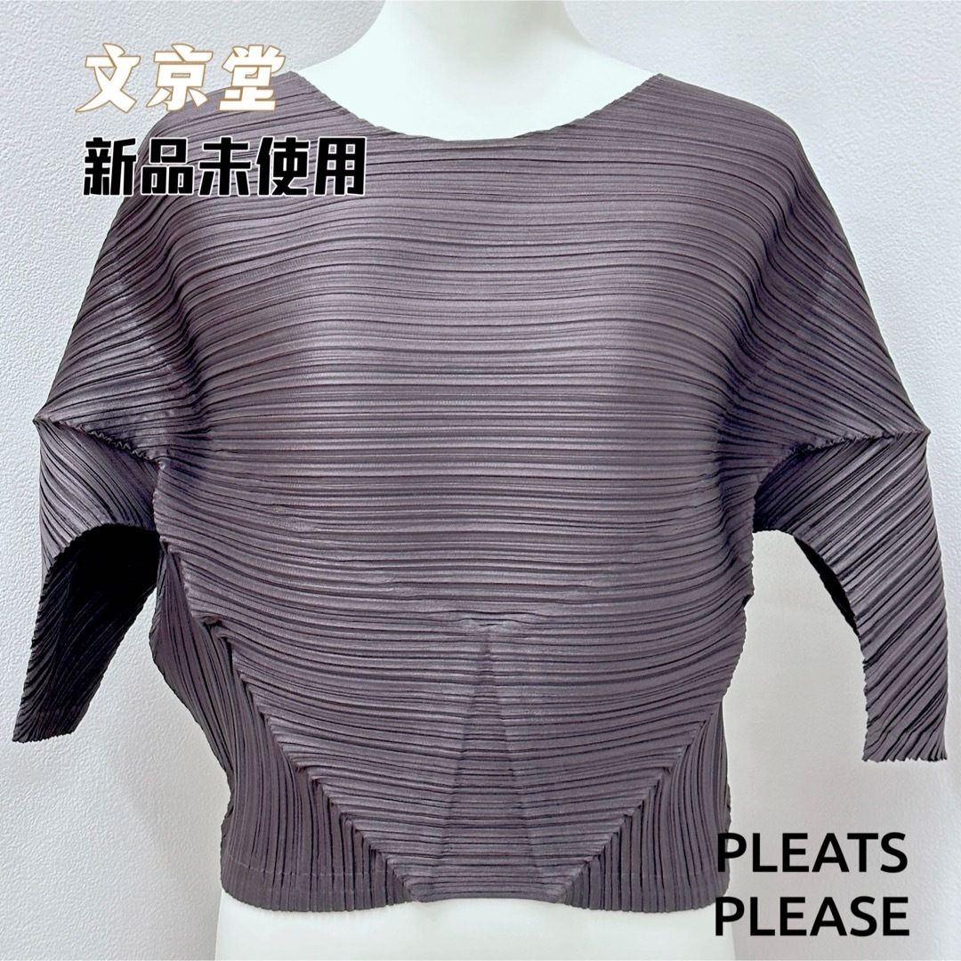 PLEATS PLEASE ISSEY MIYAKE(プリーツプリーズイッセイミヤケ)のPLEATS PLEASE ISSEY MIYAKE トップス　4月新作 レディースのトップス(カットソー(長袖/七分))の商品写真