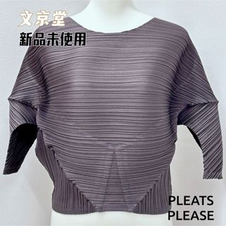 プリーツプリーズイッセイミヤケ(PLEATS PLEASE ISSEY MIYAKE)のPLEATS PLEASE ISSEY MIYAKE トップス　4月新作(カットソー(長袖/七分))