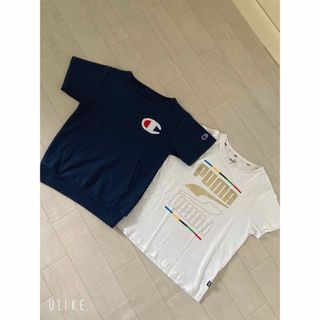 Champion - プーマ　チャンピオン　130半袖2枚セット