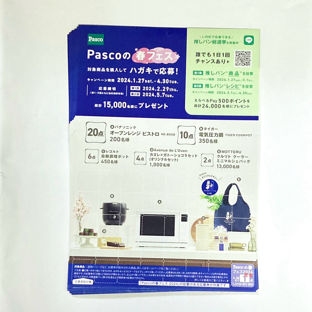 懸賞　Pascoパスコ　応募券1点応募はがき5枚春のフェスプレゼントキャンペーン エンタメ/ホビーのエンタメ その他(その他)の商品写真