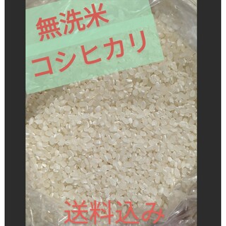 無洗米コシヒカリ100％　１２合(米/穀物)