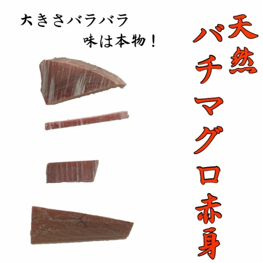 【訳あり】天然メバチマグロ　500g　冷凍　大きさ不揃いの訳あり品 食品/飲料/酒の食品(魚介)の商品写真