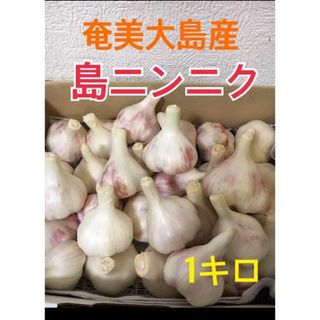 奄美大島産　無農薬栽培　香りのよい♡島ニンニク(野菜)