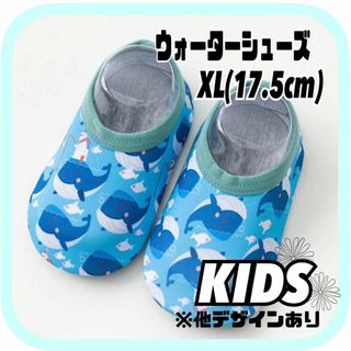 キッズ　海  ウォーターシューズ　17.5cm　水遊び  通気  プール  遊び(サンダル)