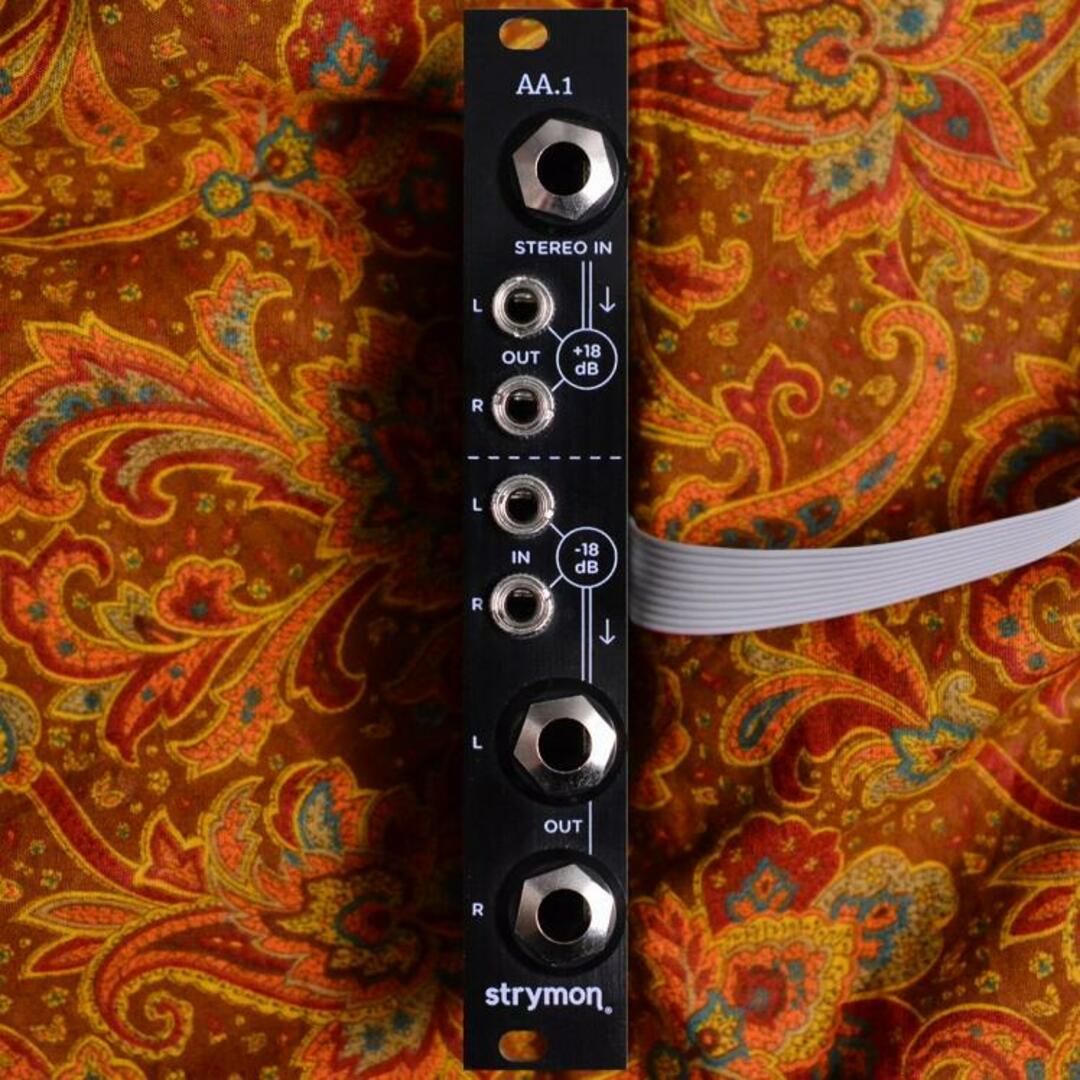 strymon（ストライモン）/AA1 【中古】【USED】シンセサイザー／キーボードモジュラーシンセ【梅田ロフト店】 楽器の鍵盤楽器(キーボード/シンセサイザー)の商品写真