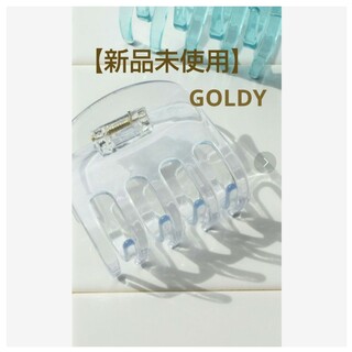 GOLDY - 【新品未使用】ゴールディ ナチュラル カラー アセチ バンス クリップ クリア
