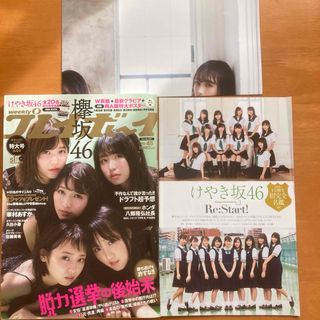 ケヤキザカフォーティーシックス(欅坂46(けやき坂46))の（付録つき）週刊プレイボーイ 2017年11月6日号(アート/エンタメ/ホビー)