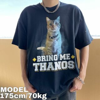 GILDAN ギルダン アニマルプリントTシャツ 猫 2XL ブラック 黒 白(Tシャツ/カットソー(半袖/袖なし))