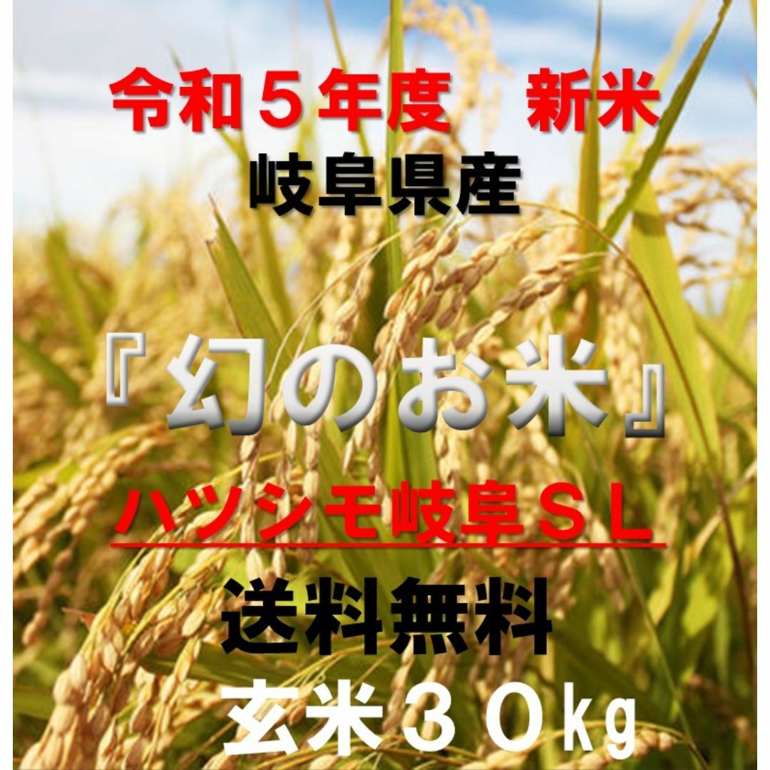 お米 玄米【岩手県産玄米ササニシキ30kg】希少米♪身体に優しい お米 玄米【岩手県産玄米ササニシキ30kg】希少米♪身体に優しい