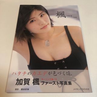 楓 加賀楓ファースト写真集　  DVD 未開封　未読(アート/エンタメ)