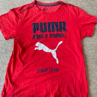 プーマ(PUMA)のプーマTシャツ150(Tシャツ/カットソー)