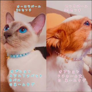 犬猫パール首輪☆完全オーダーメイド☆サイズ指定可能☆ネームタグ付(リード/首輪)