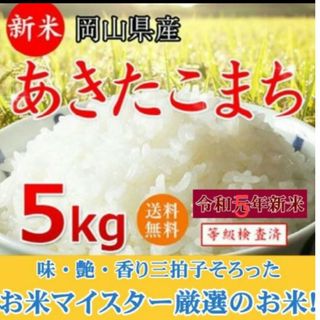 お米5kg(米/穀物)