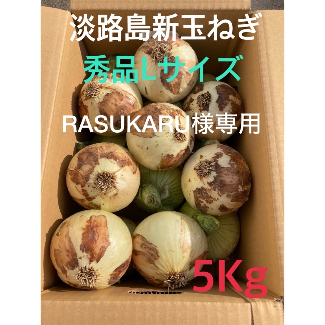 ◯秀品Lサイズ5Kg◯淡路島新玉ねぎ　たまねぎ　玉葱 食品/飲料/酒の食品(野菜)の商品写真